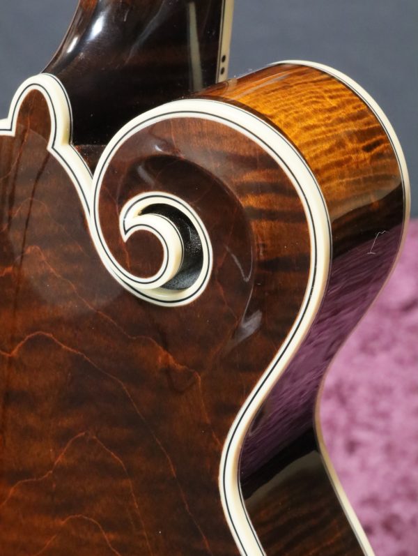 northfield artist series mandolin scroll rear