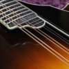 northfield big mon mandolin fingerboard scallop