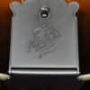 northfield big mon mandolin flip tailpiece