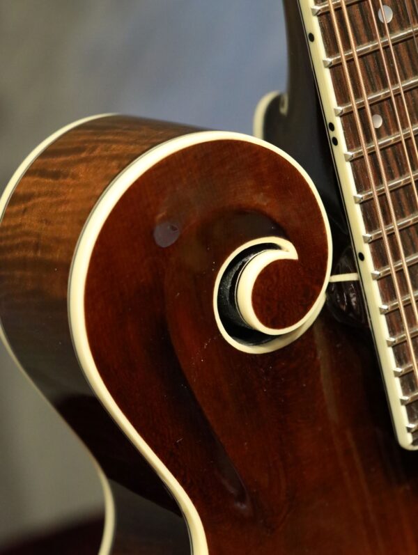 northfield big mon mandolin gloss