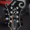 northfield big mon mandolin head inlays