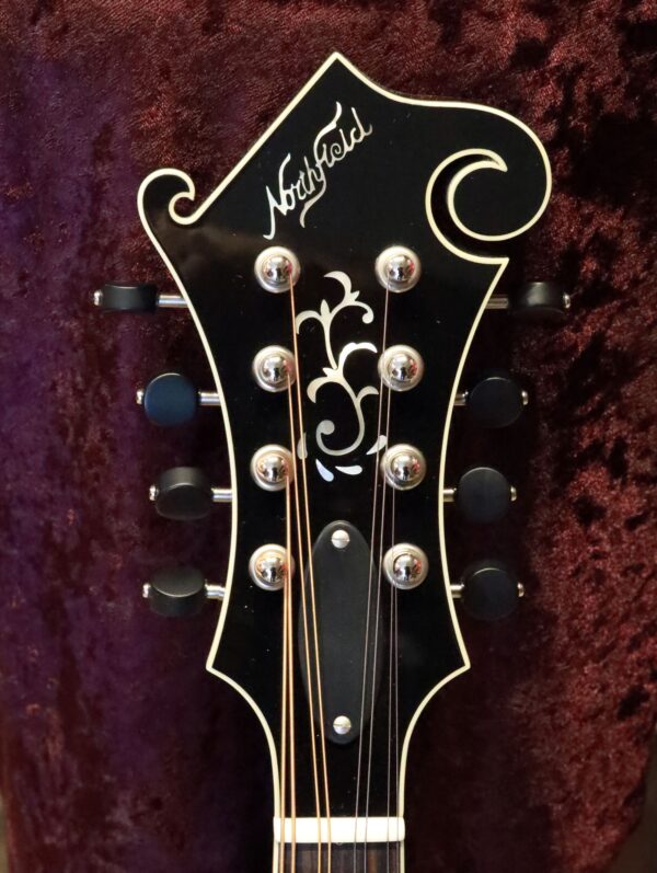 northfield big mon mandolin headstock