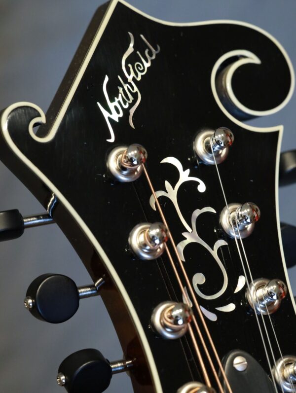 northfield big mon mandolin inlay