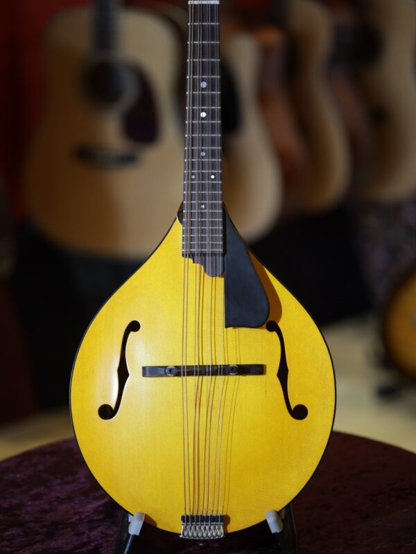 northfield model m mandolin