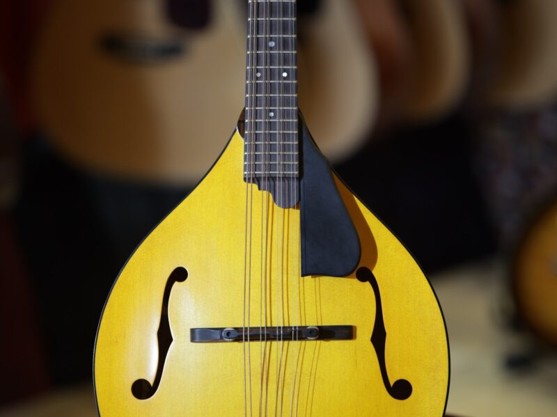 northfield model m mandolin