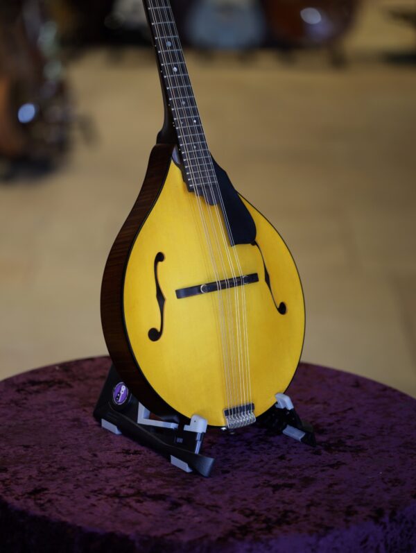 northfield model m mandolin