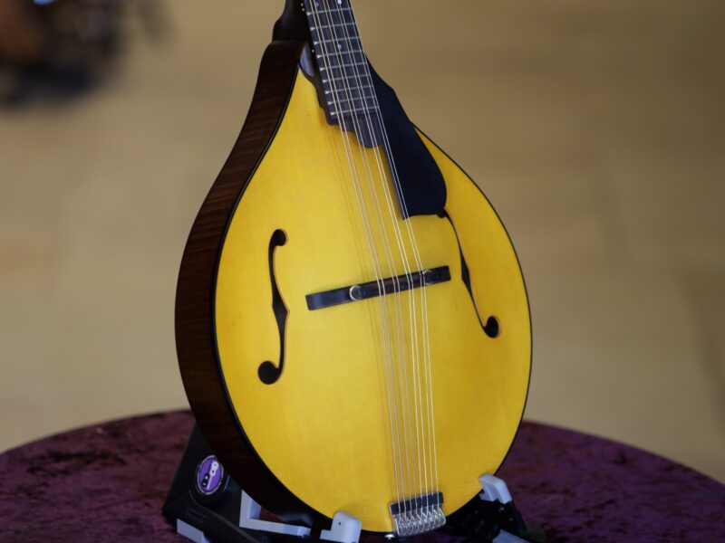 northfield model m mandolin