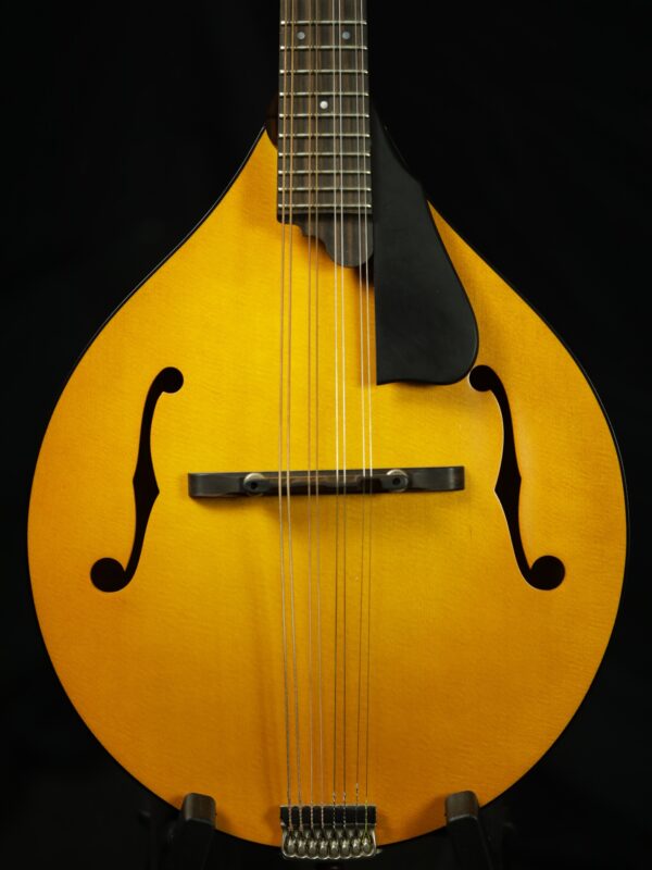 northfield model m mandolin spruce