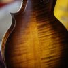 northfield s series mandolin (2)