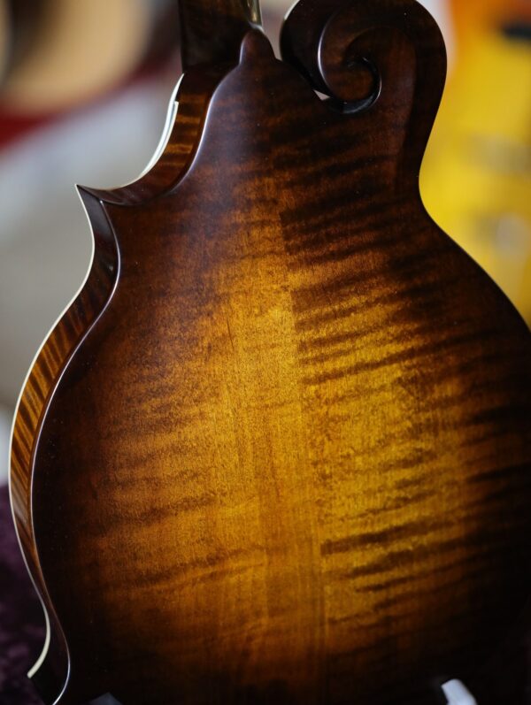 northfield s series mandolin (2)