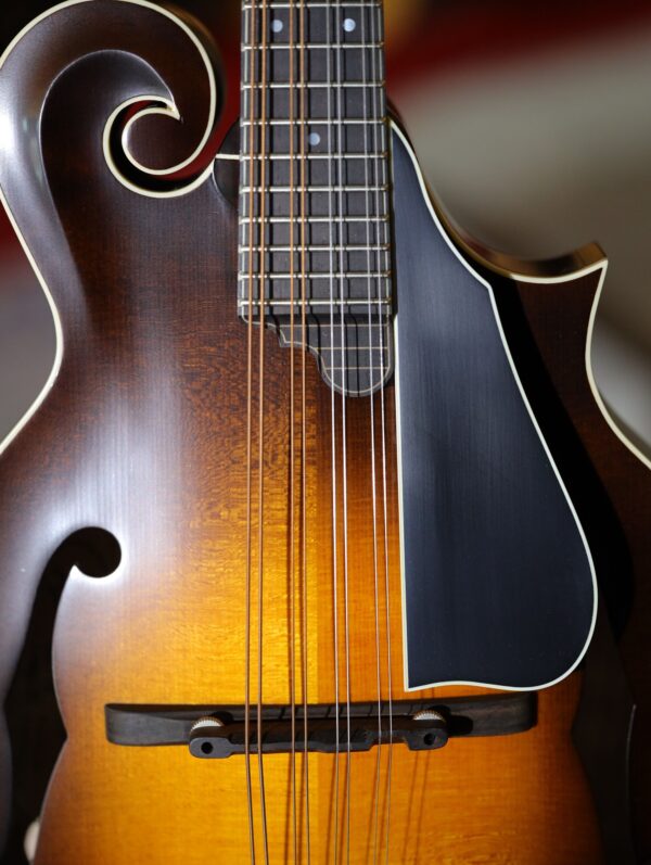 northfield s series mandolin (4)