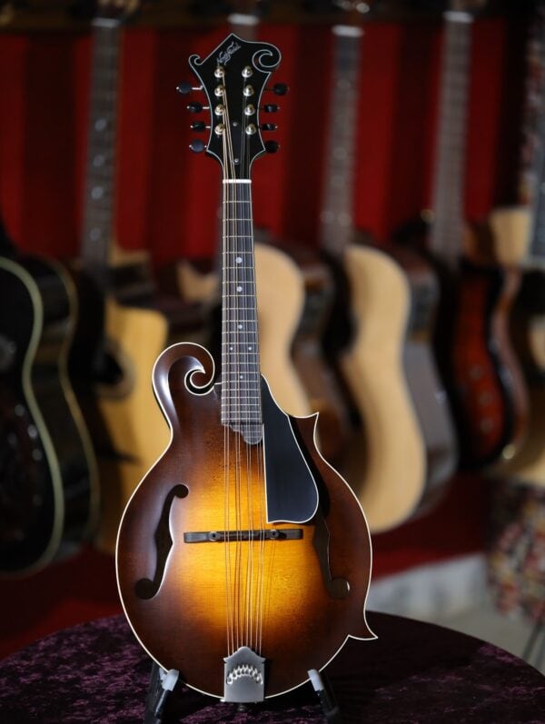 northfield s series mandolin (6)