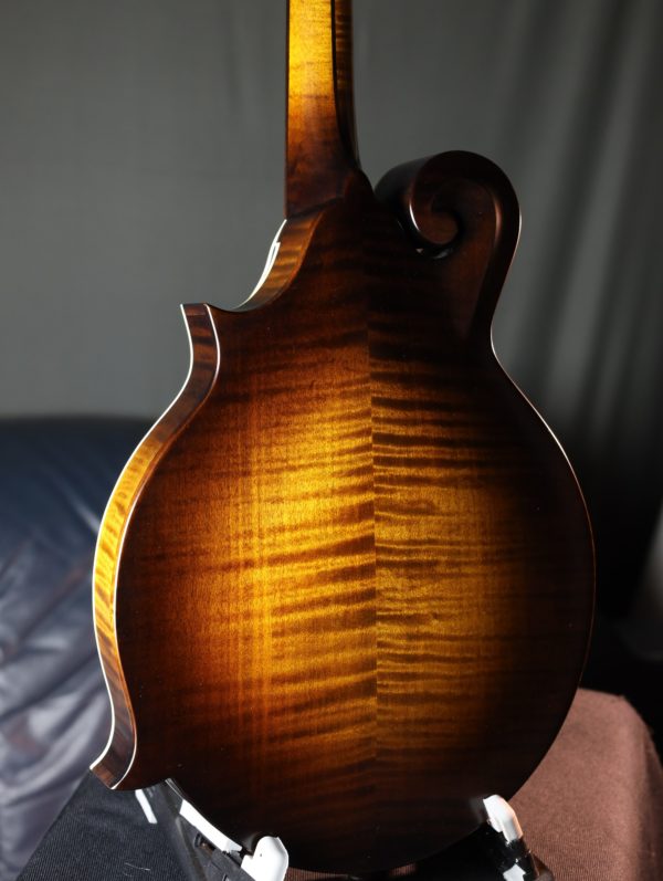 northfield s series mandolin back