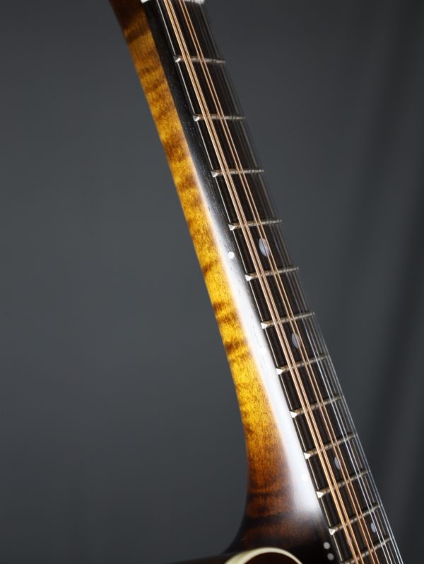 northfield s series mandolin neck