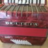 accordion by delicia 48 buttons (1)