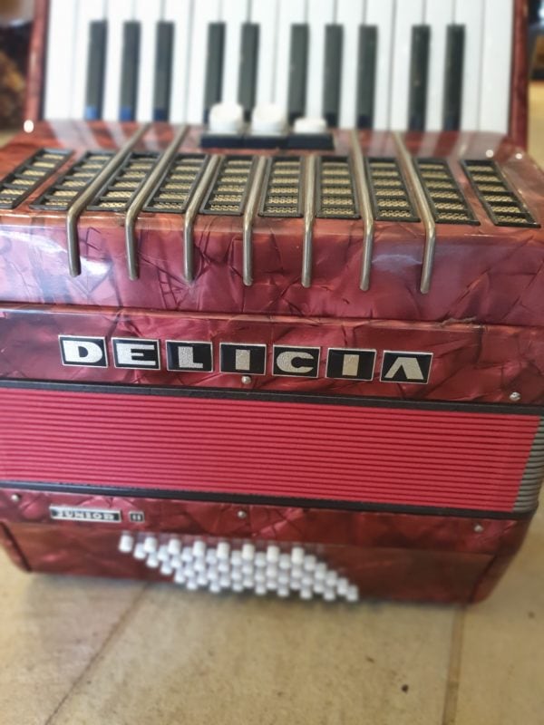 accordion by delicia 48 buttons (1)