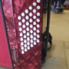 accordion by delicia 48 buttons (3)