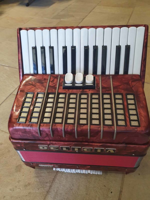 accordion by delicia 48 buttons