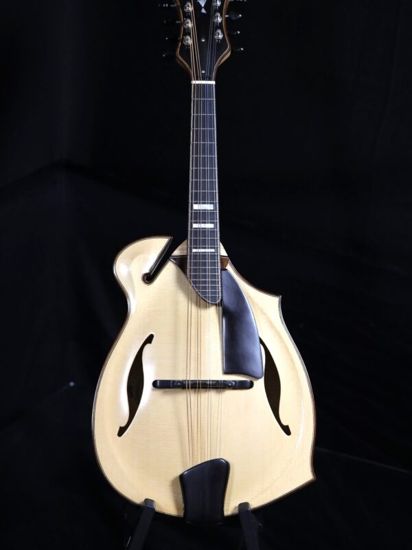 giacomel j5 mandolin