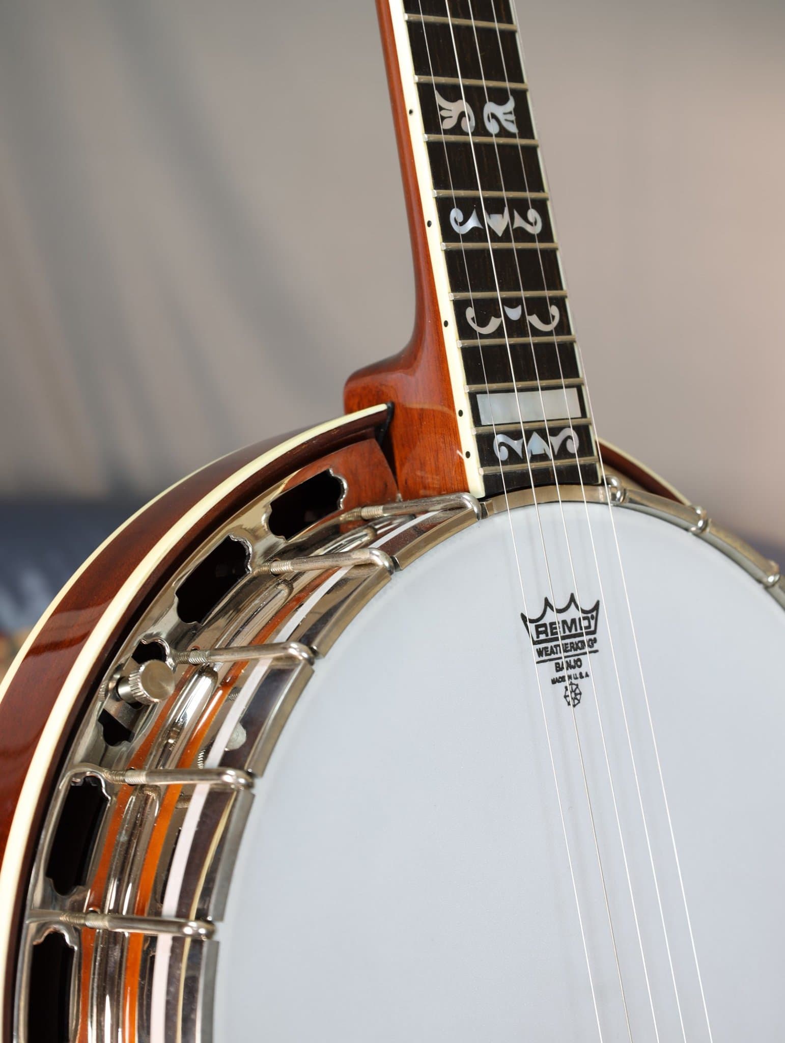 Gold Star GF100 Banjo Guitar Gallery Music Shop Melb