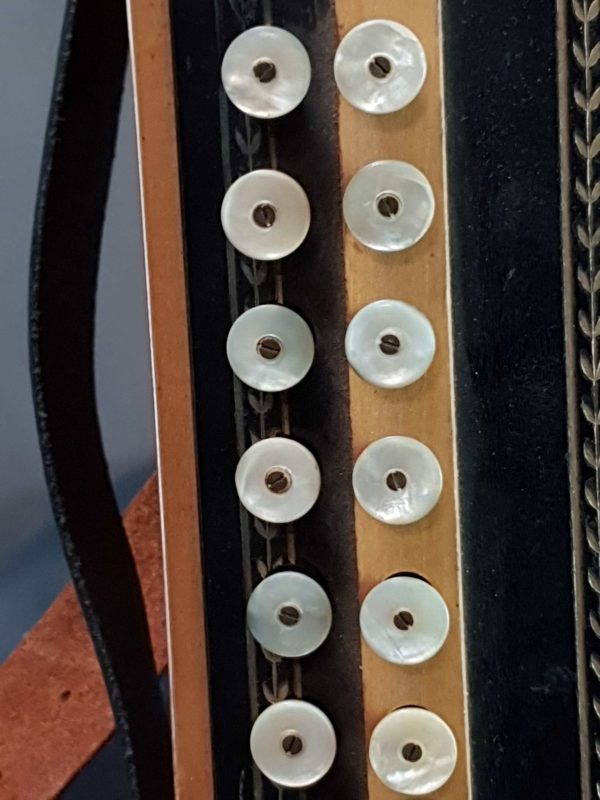 hohner button accordion d g left hand