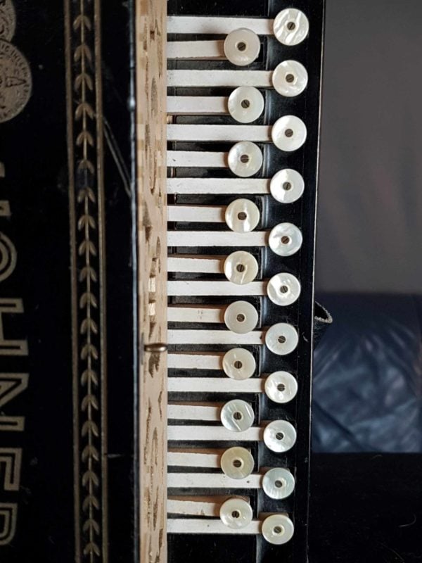 hohner button accordion d g two row