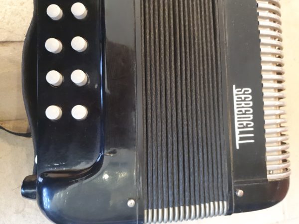 serenelli button accordion d g (2)