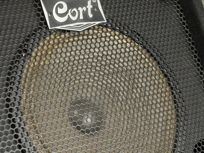 cort ge30b bass amplifier