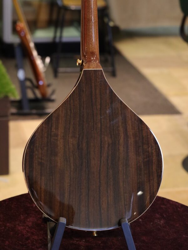 ashbury lindisfarne mandolin (7)