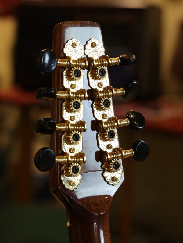 ashbury lindisfarne mandolin (8)