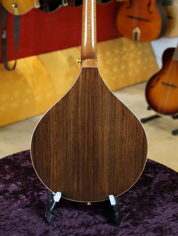 ashbury lindisfarne mandolin back view