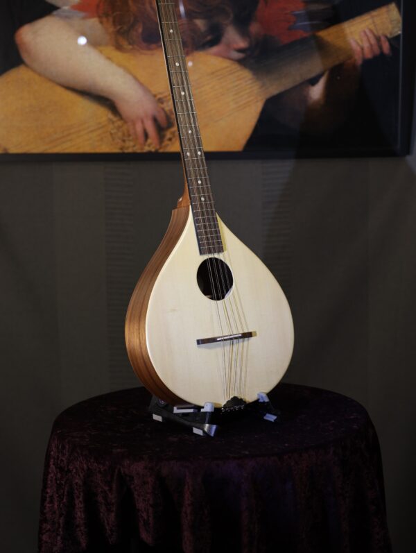 ashbury r ib irish bouzouki