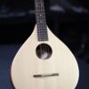 ashbury r ib irish bouzouki front