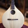 ashbury r m mandolin