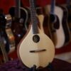ashbury r m mandolin