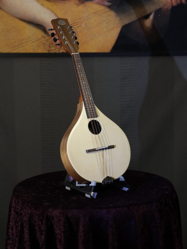ashbury r m mandolin