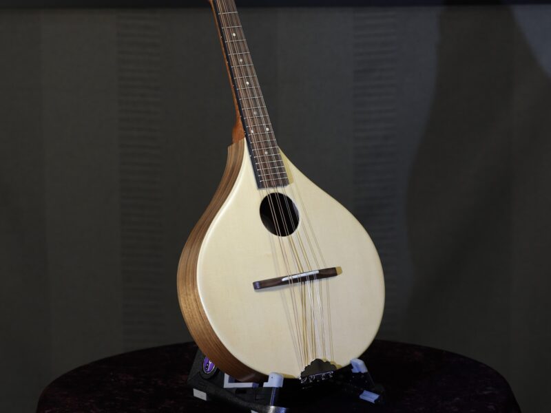 ashbury r m mandolin