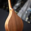 ashbury r m mandolin back