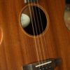 ashbury tenor guitar front