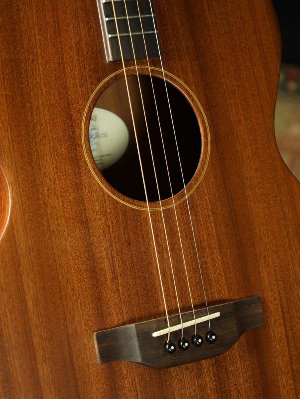 ashbury tenor guitar front