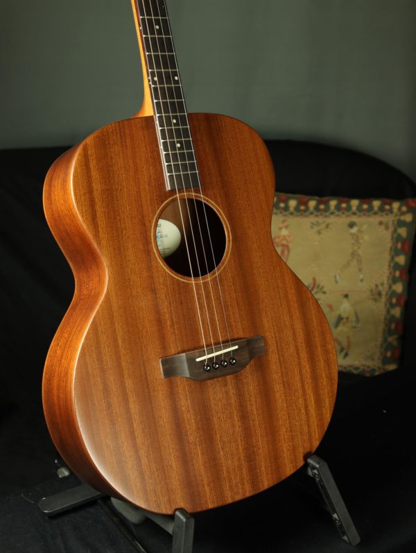 ashbury tenor guitar sapelle top