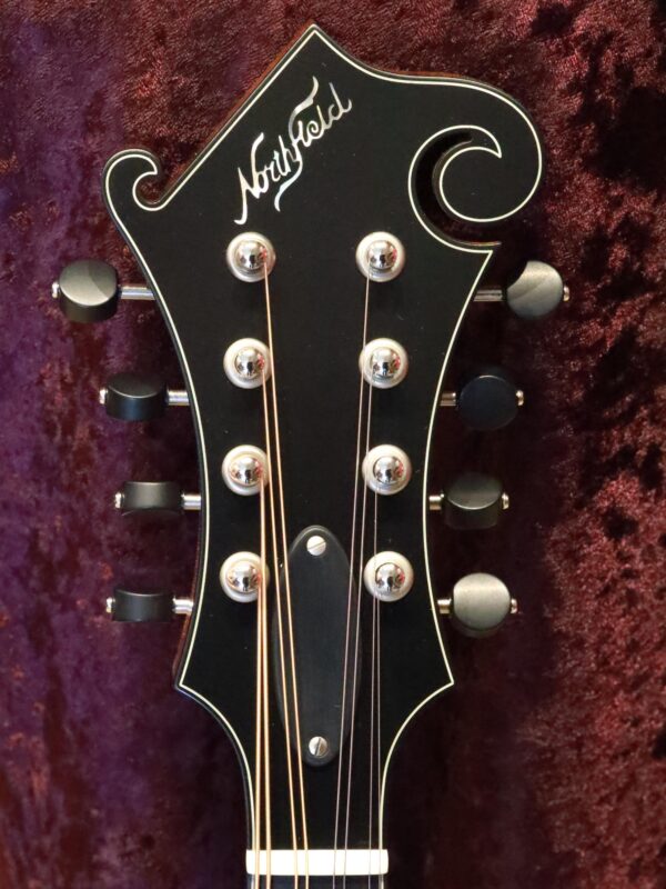 northfield f 2 amber top mandolin (1)