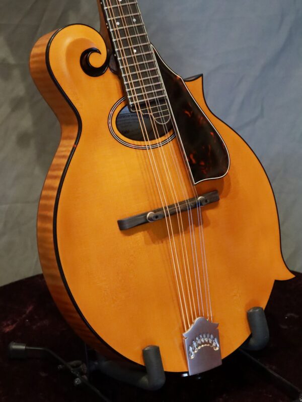 northfield f 2 amber top mandolin (3)