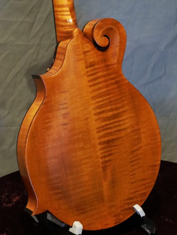 northfield f 2 amber top mandolin (4)