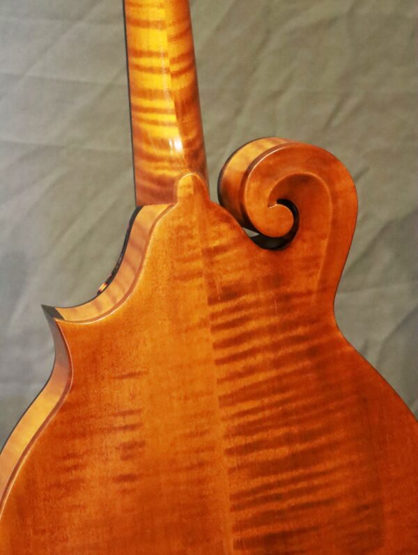 northfield f 2 amber top mandolin (5)