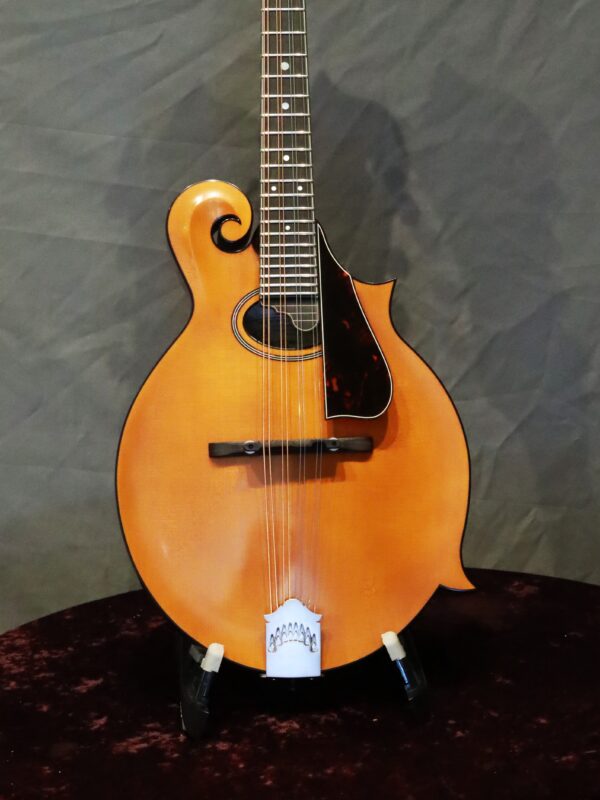 northfield f 2 amber top mandolin