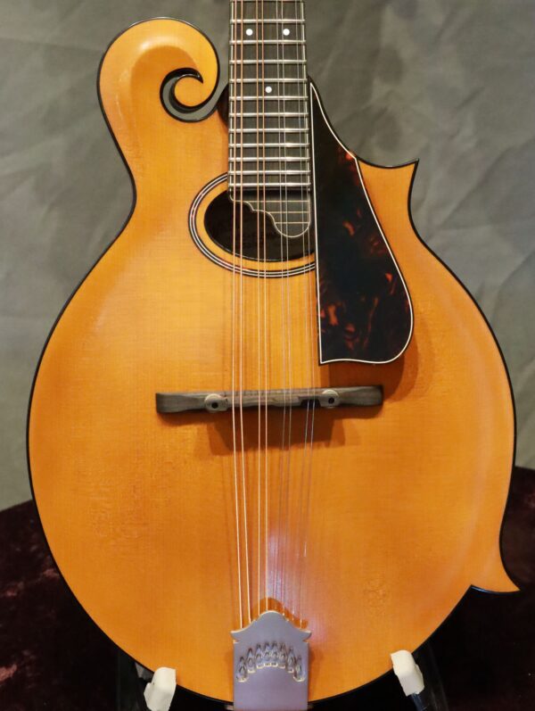 northfield f 2 amber top mandolin (7)