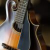 northfield f 2 mandolin (10)