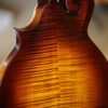 northfield f 2 mandolin (2)