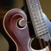 northfield f 2 mandolin (5)
